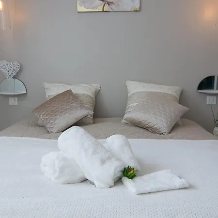 Le Splendid Pour Decouvrir La Ville Rose Apartment